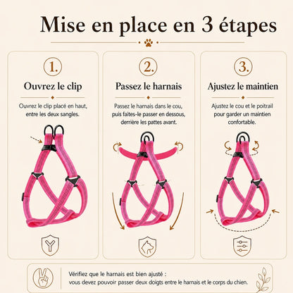harnais chien rose mise en place 3 etapes