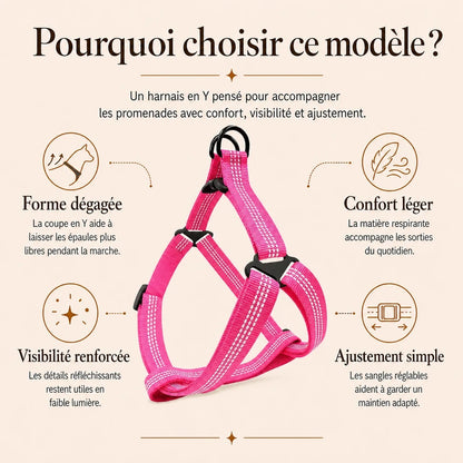 harnais chien rose pourquoi choisir ce modele