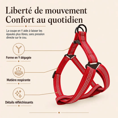 harnais chien rouge benefice principal