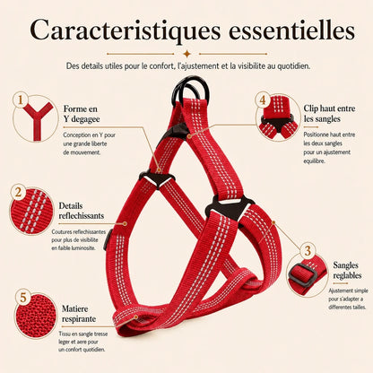 harnais chien rouge caracteristiques essentielles