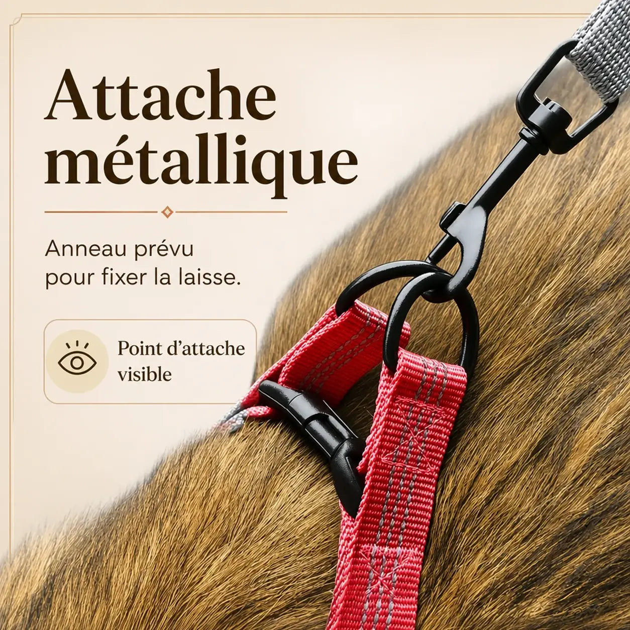 harnais chien rouge detail attache metallique
