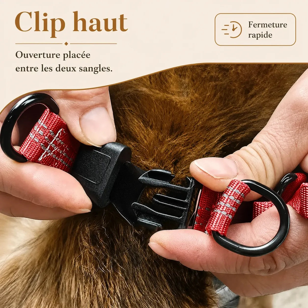 harnais chien rouge detail clip haut
