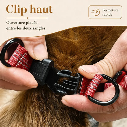 harnais chien rouge detail clip haut