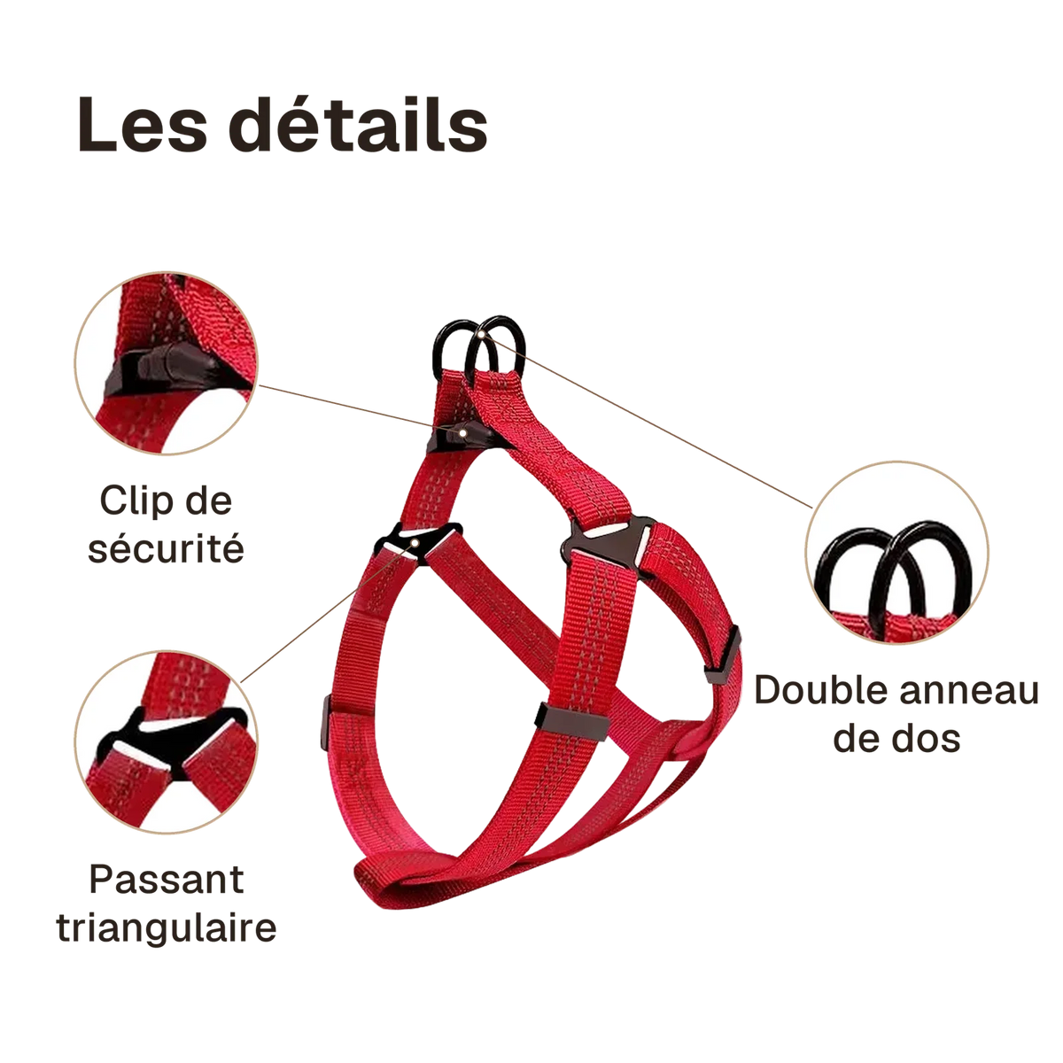 Les détails du harnais chien Y rouge : clip de sécurité, passant triangulaire, double anneau de dos