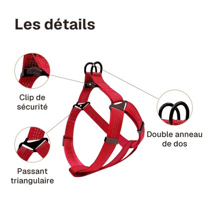 Les détails du harnais chien Y rouge : clip de sécurité, passant triangulaire, double anneau de dos