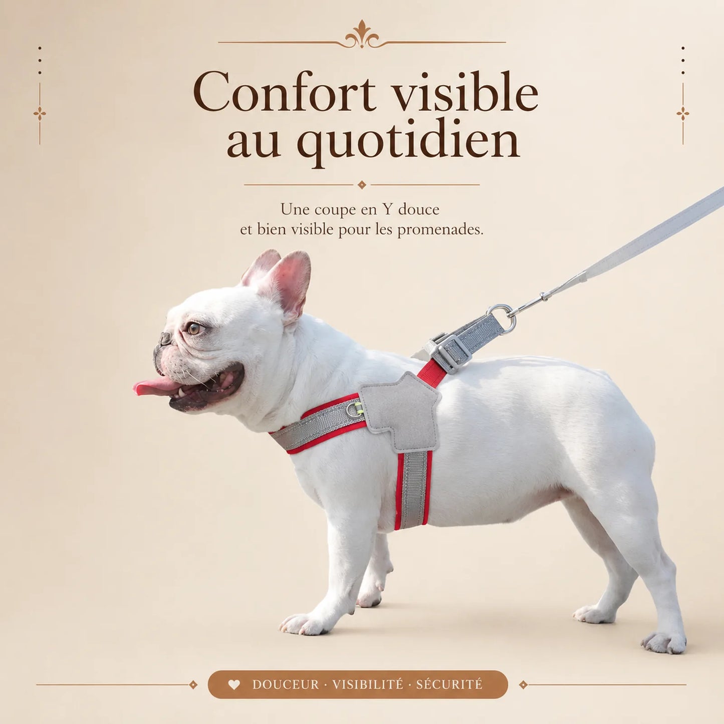 harnais chien rouge reflechissant lifestyle