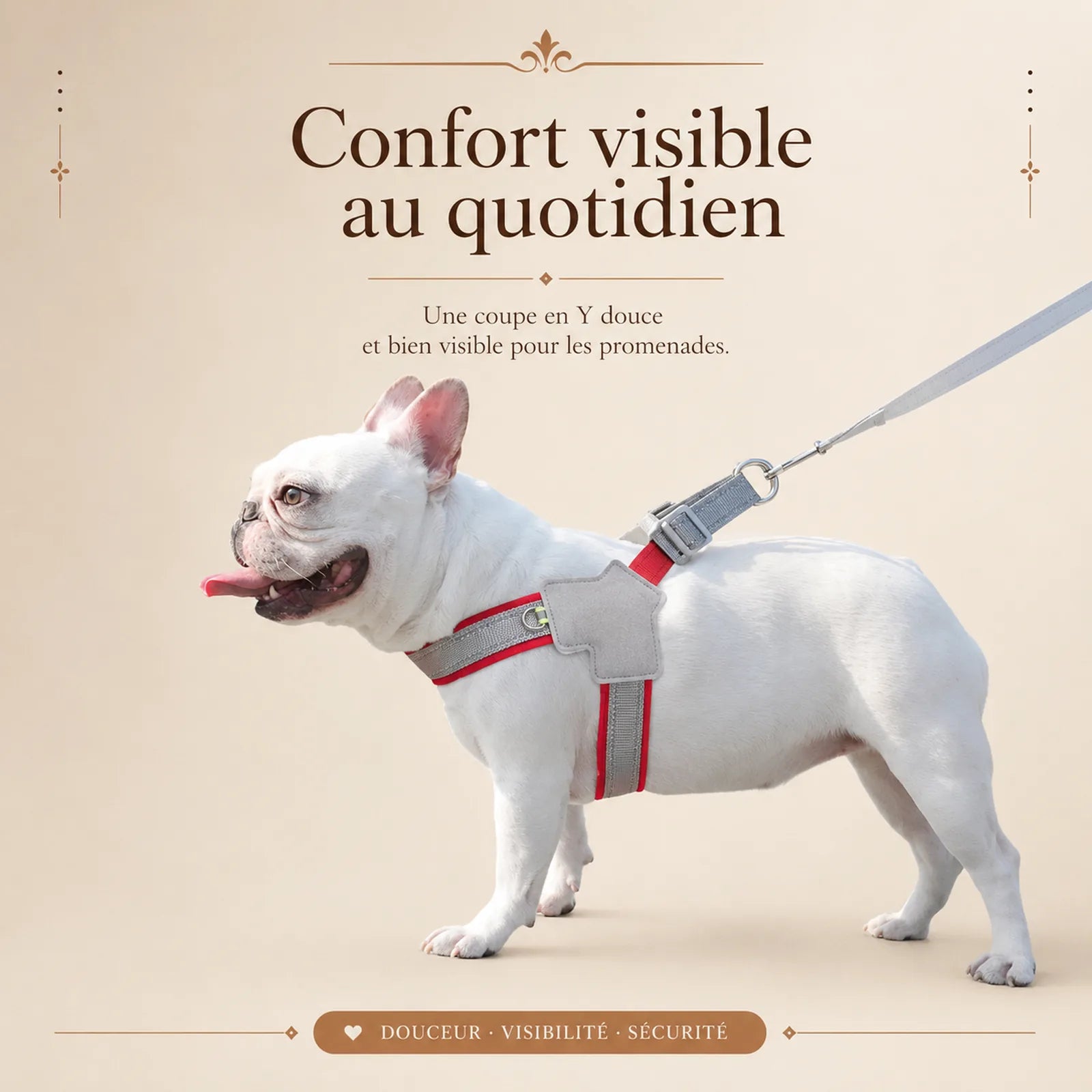 harnais chien rouge reflechissant lifestyle