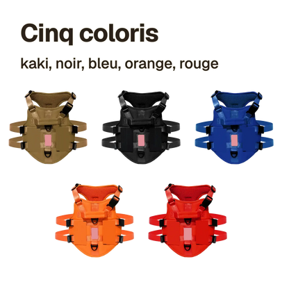 Harnais chien 3 points gilet en cinq coloris