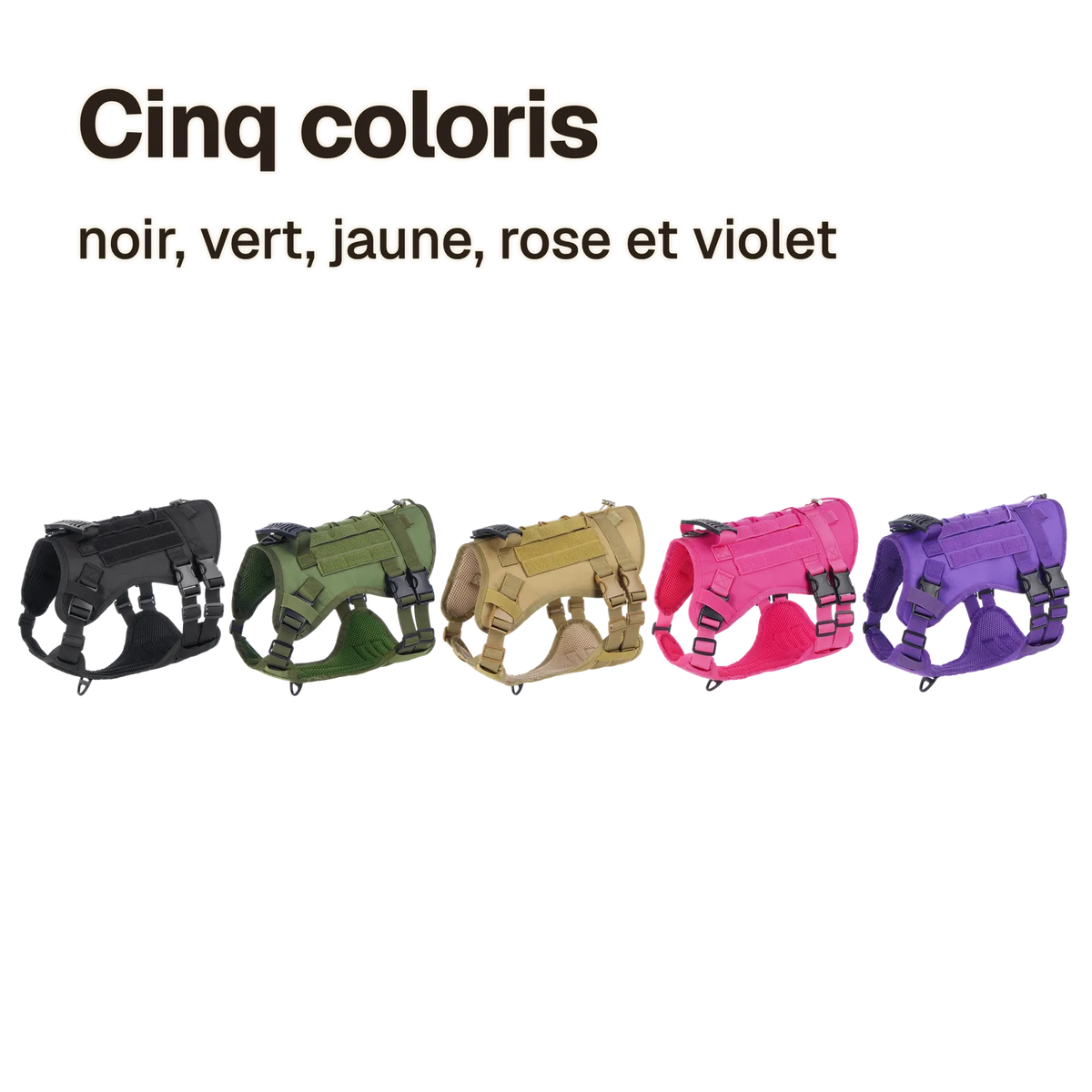 Harnais tactique en cinq coloris : noir, vert, coyote, rose, violet
