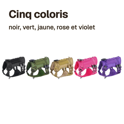 Harnais tactique en cinq coloris : noir, vert, coyote, rose, violet