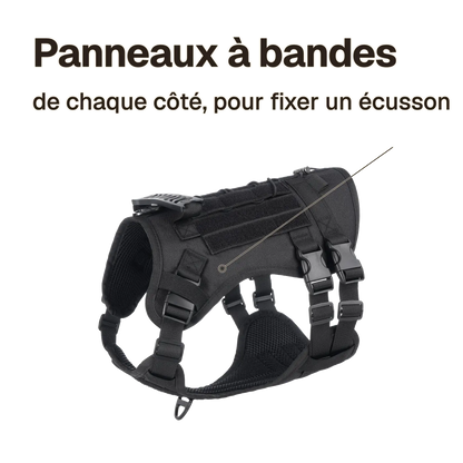 Panneaux à bandes auto-agrippantes du harnais tactique