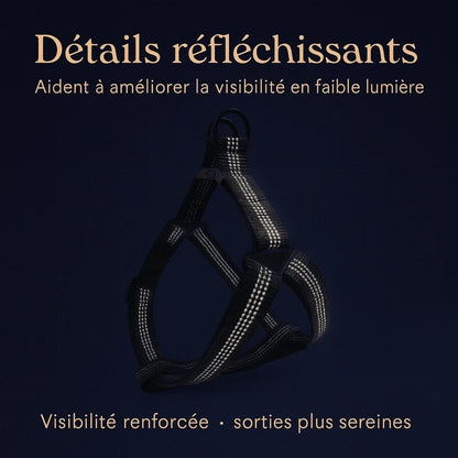 harnais chien y noir bandes reflechissantes
