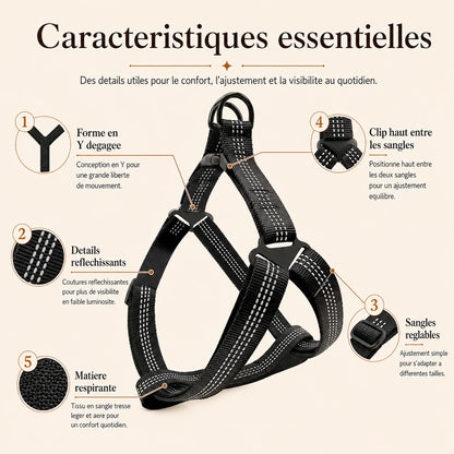 harnais chien y noir caracteristiques essentielles