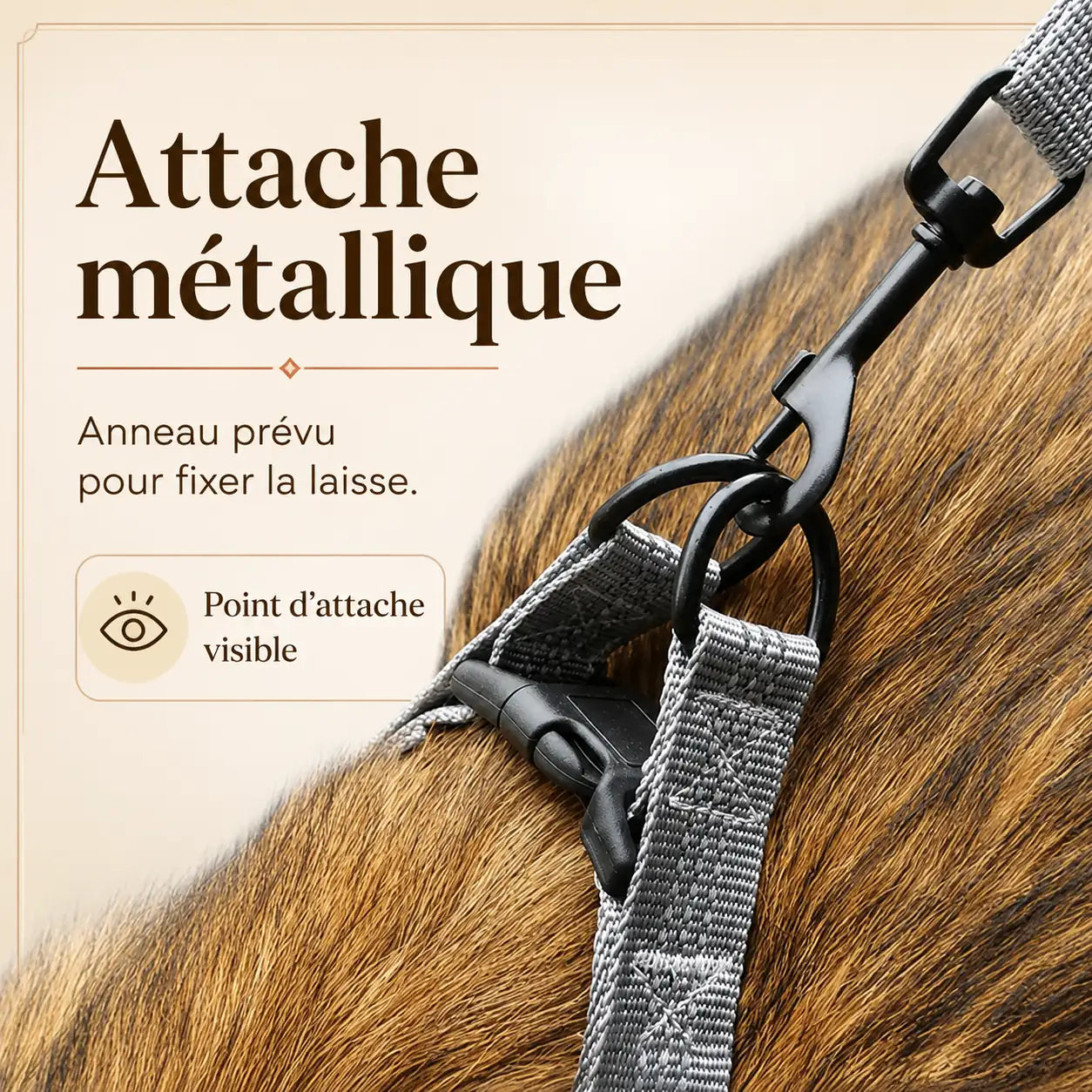 harnais chien y noir detail attache metallique