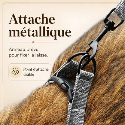 harnais chien y noir detail attache metallique