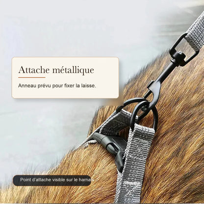 harnais chien y noir detail attache metallique