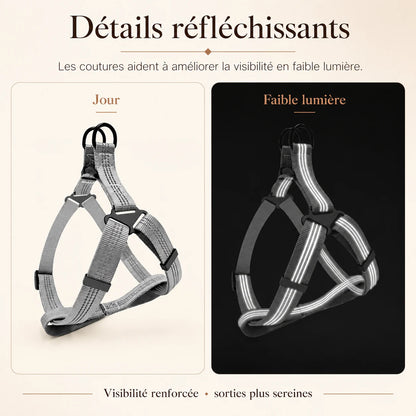 harnais chien y noir detail bandes reflechissantes