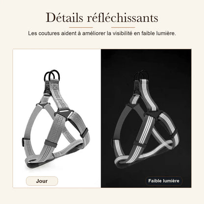 harnais chien y noir detail bandes reflechissantes