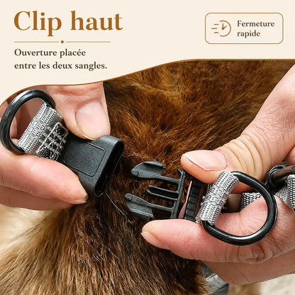 harnais chien y noir detail clip haut