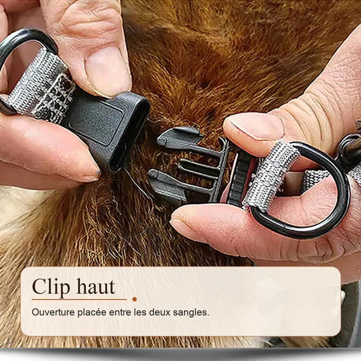 harnais chien y noir detail clip haut