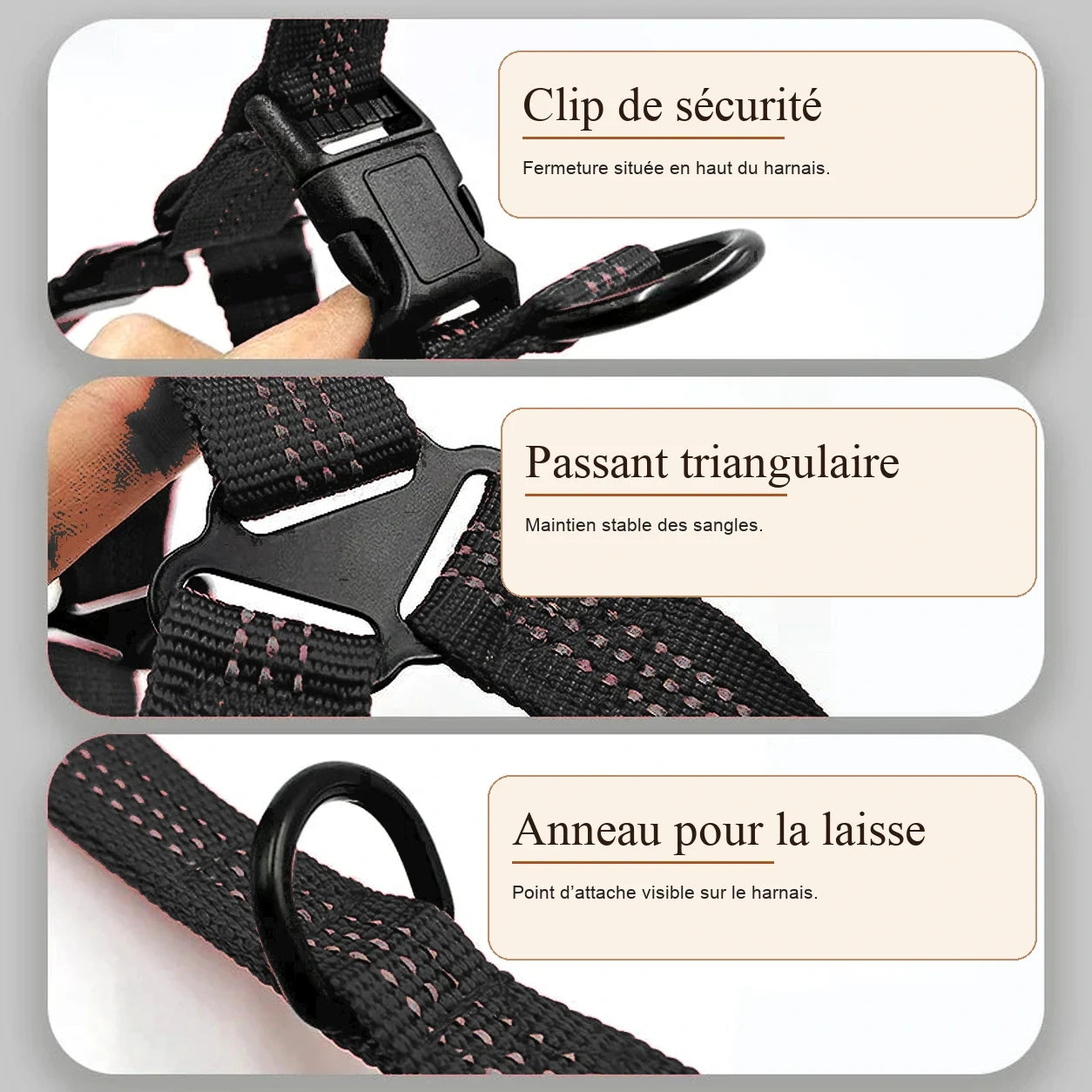 harnais chien y noir detail clips anneaux