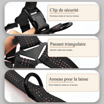 harnais chien y noir detail clips anneaux
