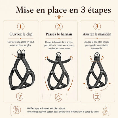 harnais chien y noir mise en place 3 etapes