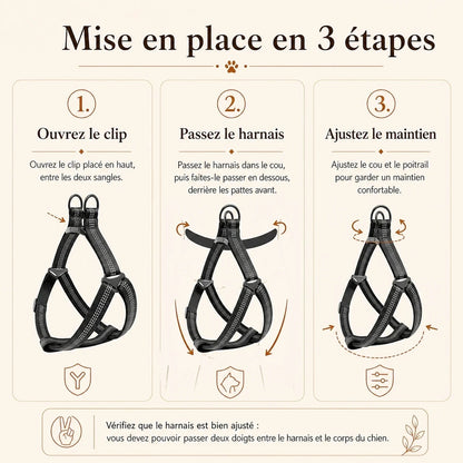 harnais chien y noir mise en place 3 etapes