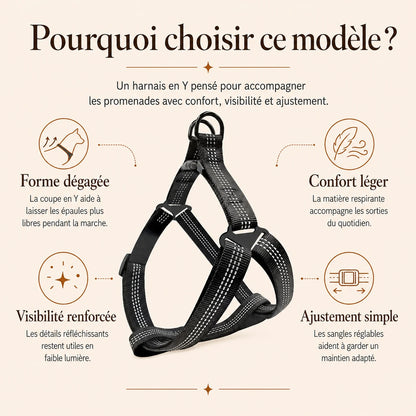 harnais chien y noir pourquoi choisir ce modele