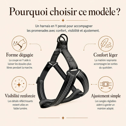 harnais chien y noir pourquoi choisir ce modele