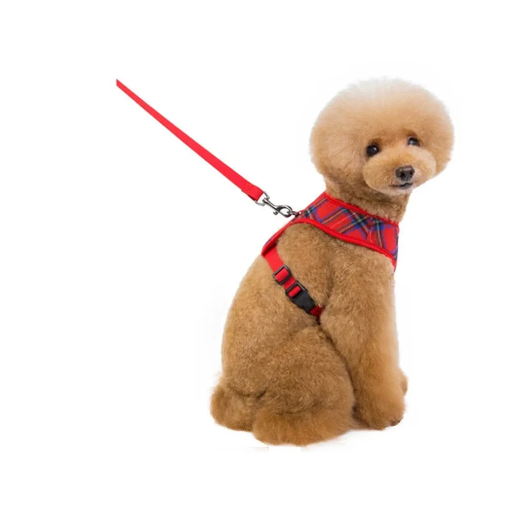 Harnais chiot classique ajustable tartan rouge porté par un chiot, vu de profil