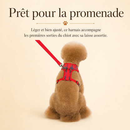 harnais chiot classique ajustable lifestyle