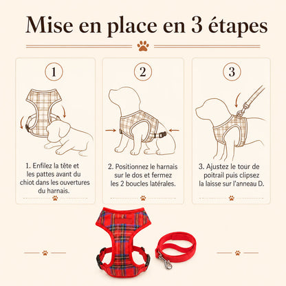 harnais chiot classique ajustable mise en place 3 etapes