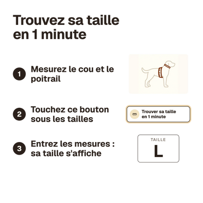 Trouvez sa taille en 1 minute : mesurez le cou et le poitrail du chiot, puis utilisez le calculateur sous les tailles