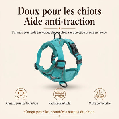 Harnais Chiot Doux Coloré - benefice principal v4