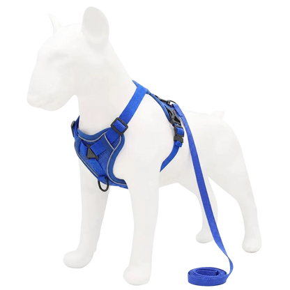 Harnais chiot doux coloré, coloris bleu avec laisse assortie