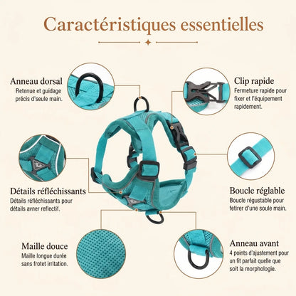 Harnais Chiot Doux Coloré - caracteristiques essentielles v2