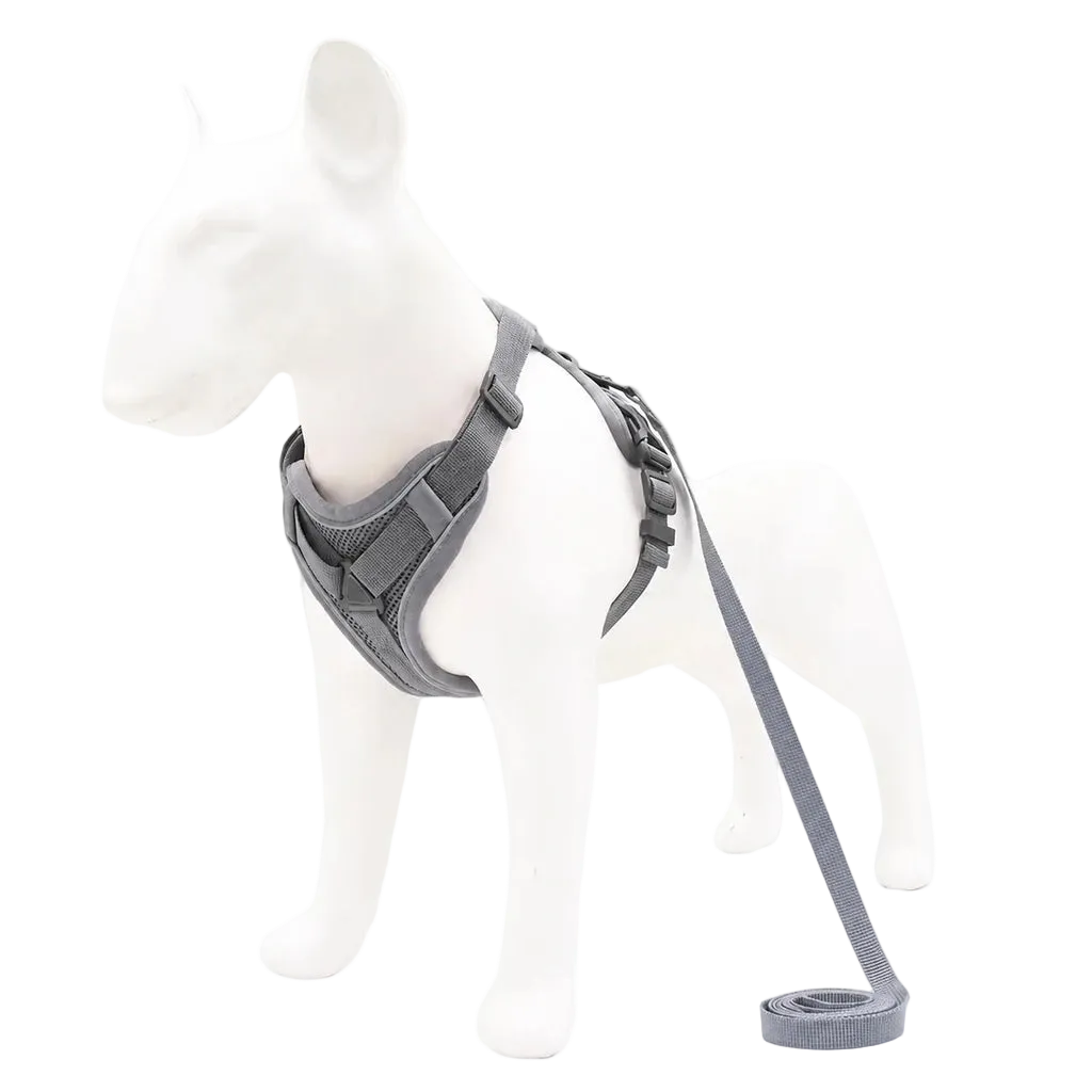 Harnais chiot doux coloré, coloris gris avec laisse assortie