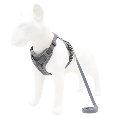 Harnais chiot doux coloré, coloris gris avec laisse assortie