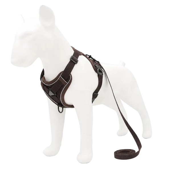 Harnais chiot doux coloré, coloris marron avec laisse assortie