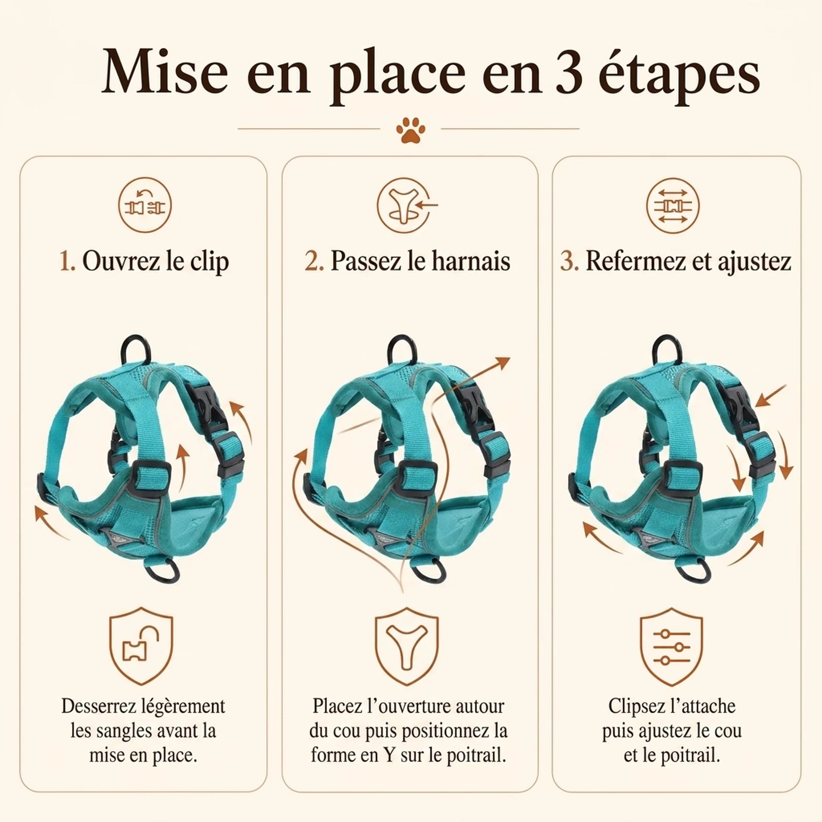 Harnais Chiot Doux Coloré - mise en place 3 etapes v3