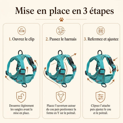 Harnais Chiot Doux Coloré - mise en place 3 etapes v3