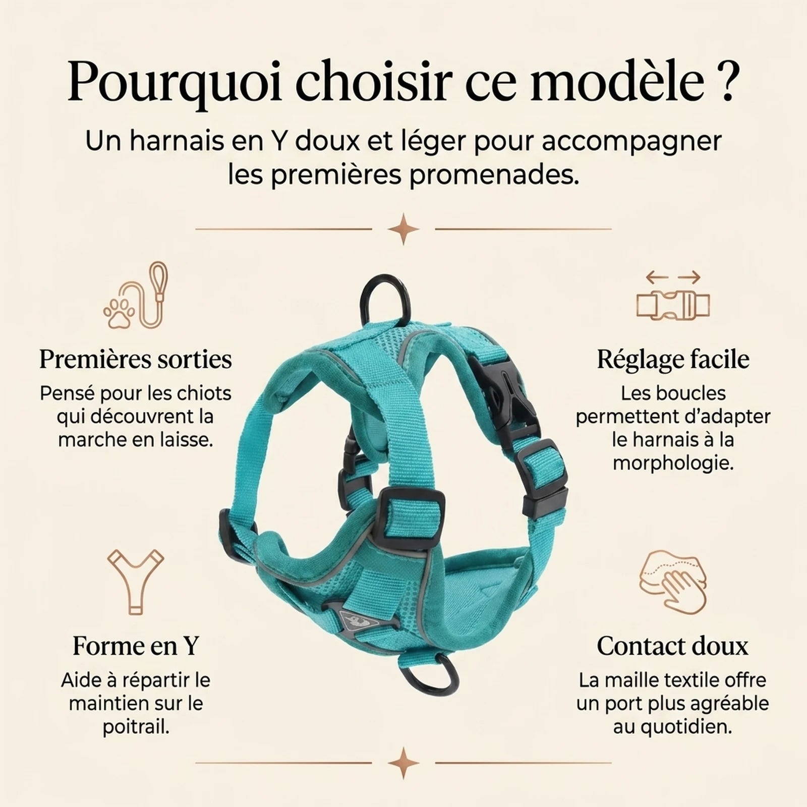 Harnais Chiot Doux Coloré - pourquoi choisir ce modele v2