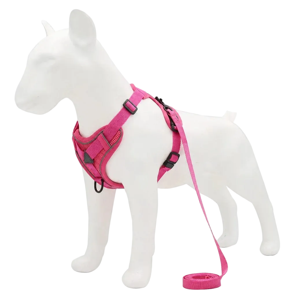 Harnais chiot doux coloré, coloris rose avec laisse assortie