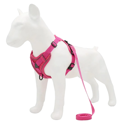 Harnais chiot doux coloré, coloris rose avec laisse assortie