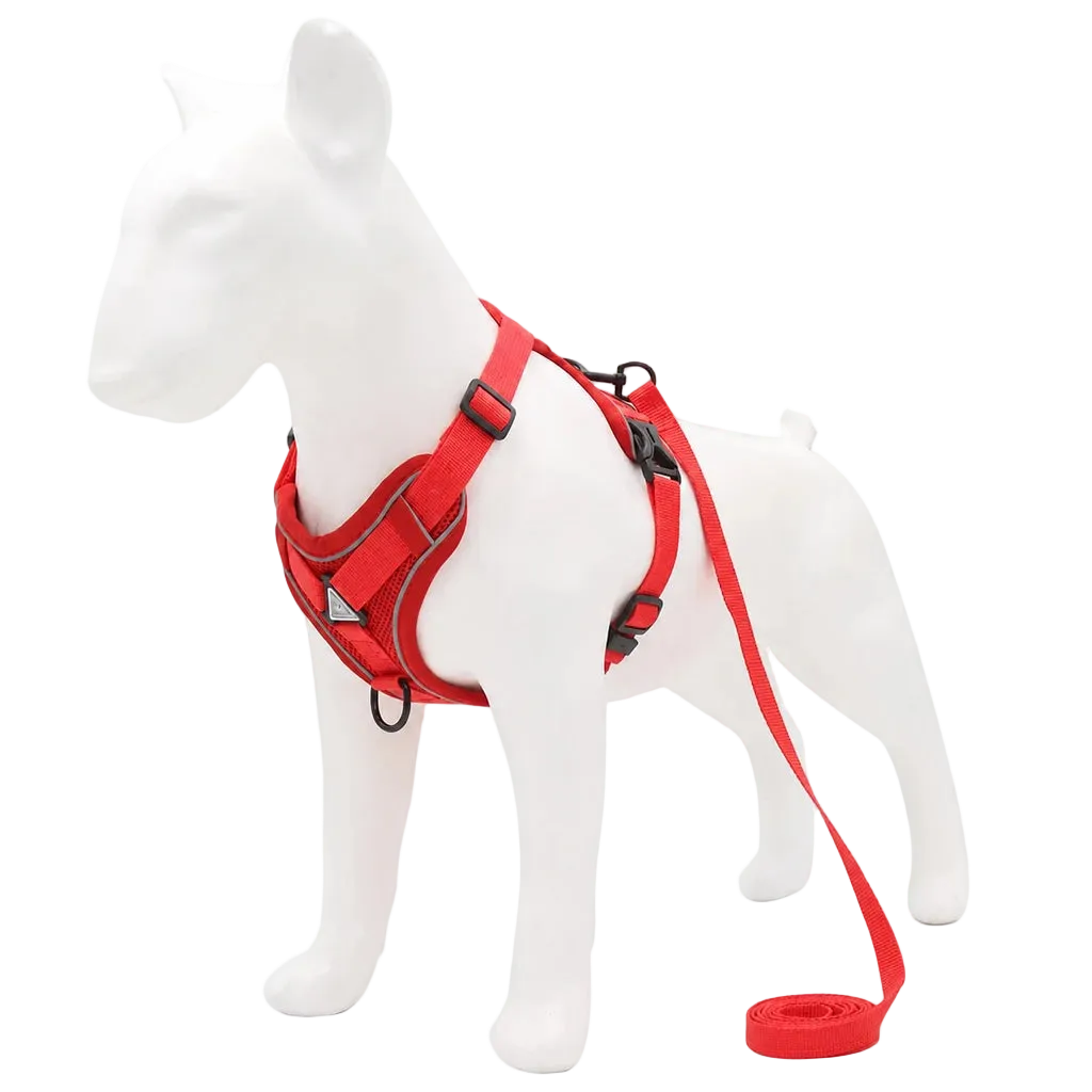Harnais chiot doux coloré, coloris rouge avec laisse assortie