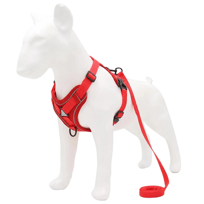 Harnais chiot doux coloré, coloris rouge avec laisse assortie