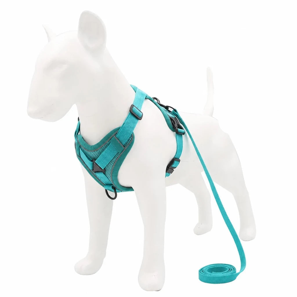 Harnais chiot doux coloré, coloris turquoise avec laisse assortie