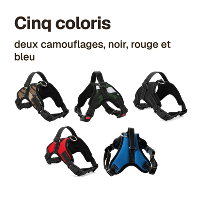 Les cinq coloris du harnais chiot maille respirante : camouflage marron, camouflage vert, noir, rouge et bleu