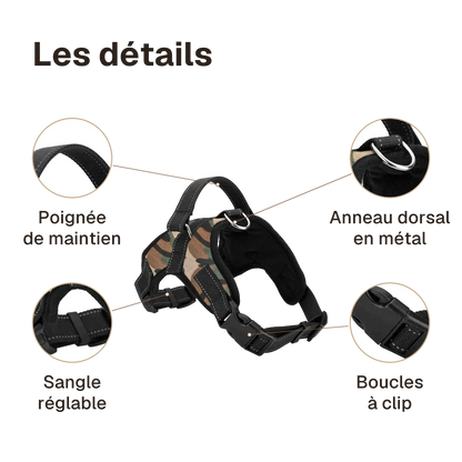 Les détails du harnais chiot maille respirante : poignée de maintien, anneau dorsal en métal, boucles à clip, sangle réglable